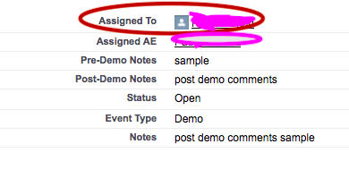 Screen shot shwoing the Custom fields on the Event page with values