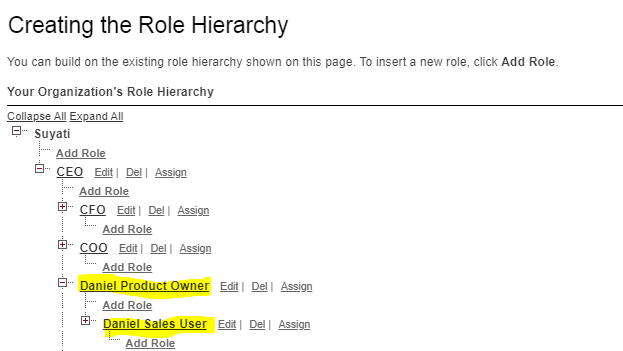 Role Hierarchy