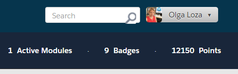 9 Badges showing in the NavBar