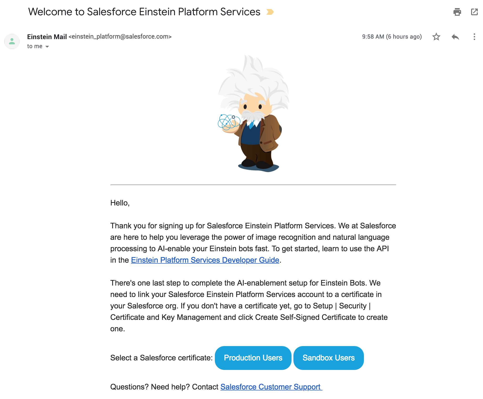 Einstein Platform Services Welcome Email