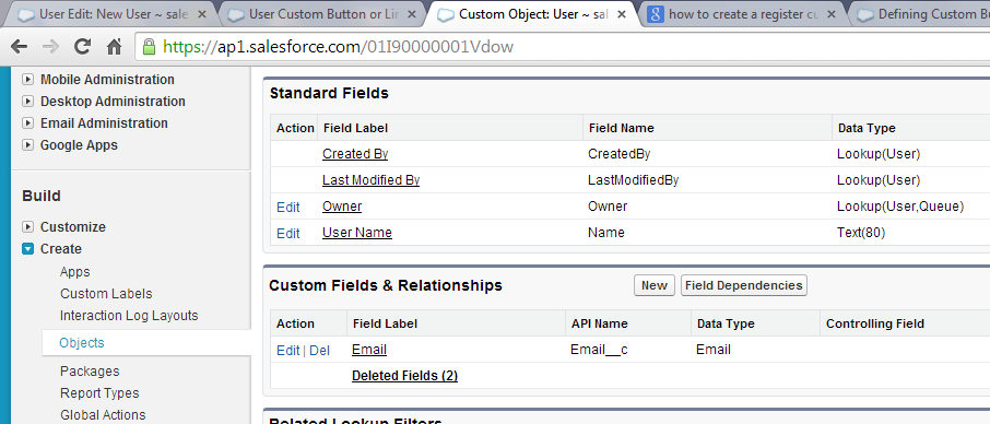 Standard & Custom field