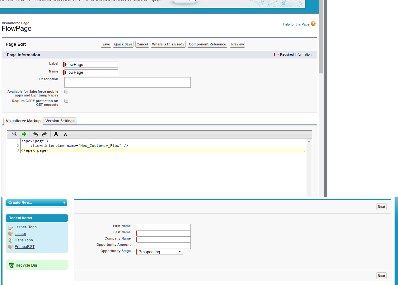 Visualforce Page and result